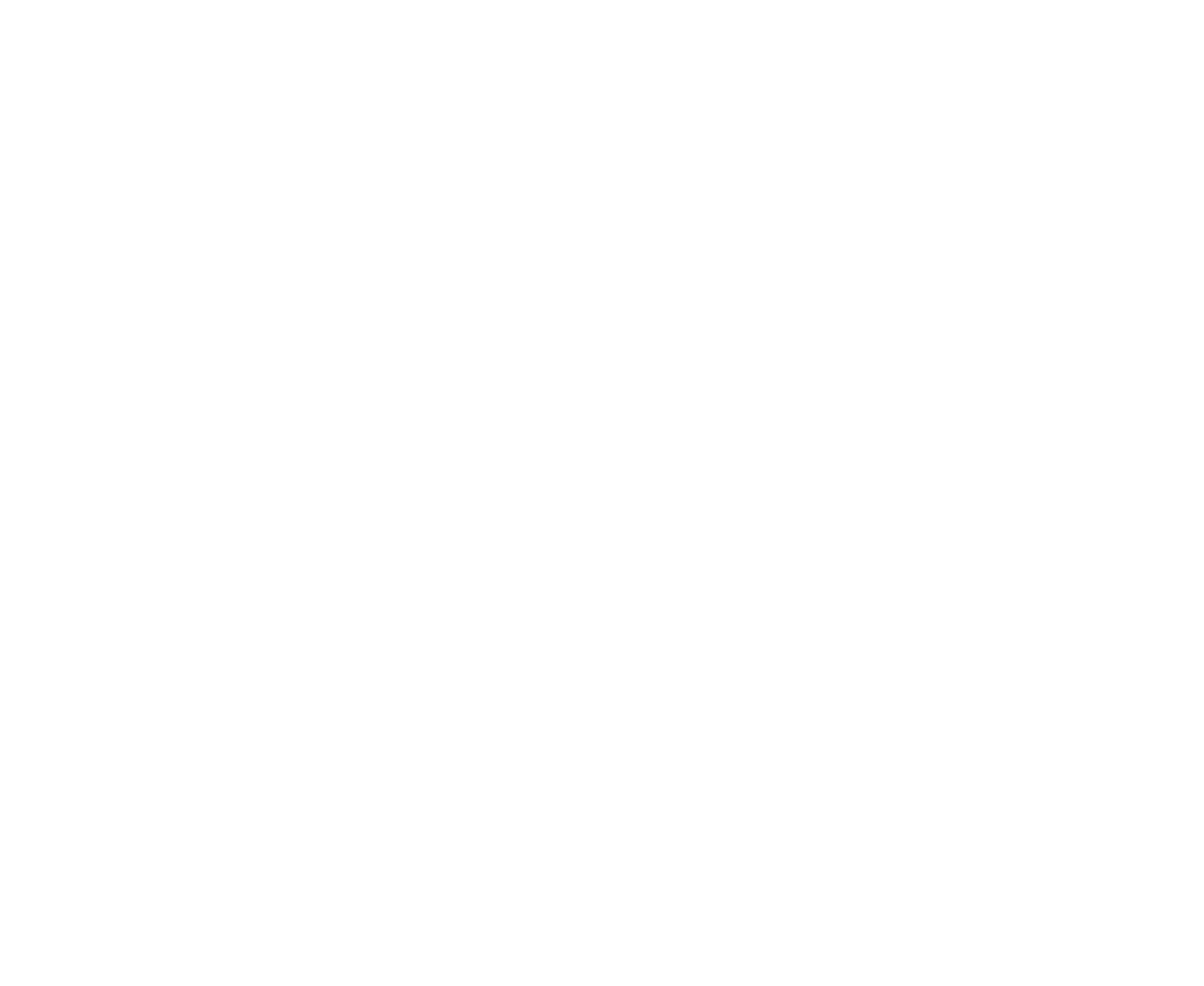 Dragonfliers - Affordable Efficient Aviation Logo